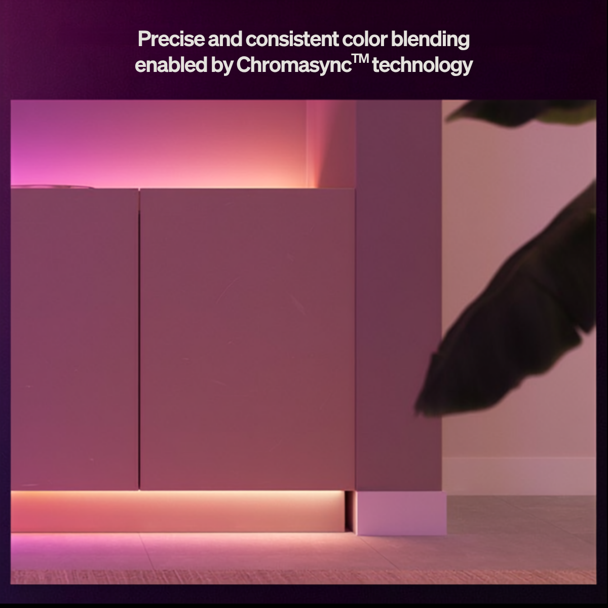 Philips Hue Flux Strip Light 3m Base Kit, White and Color Gradient – No I Don't Need / Flux connector 4 pc