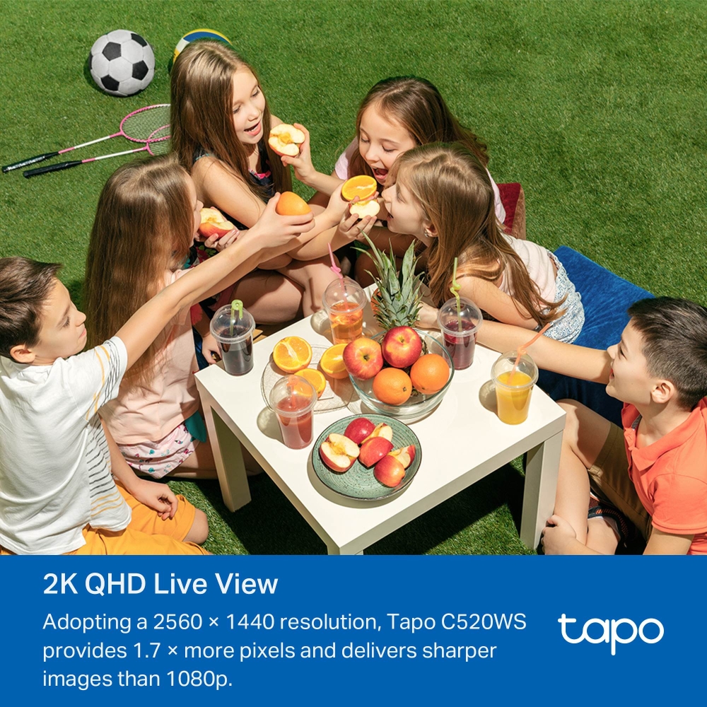 Tapo C520WS mounted outdoor view