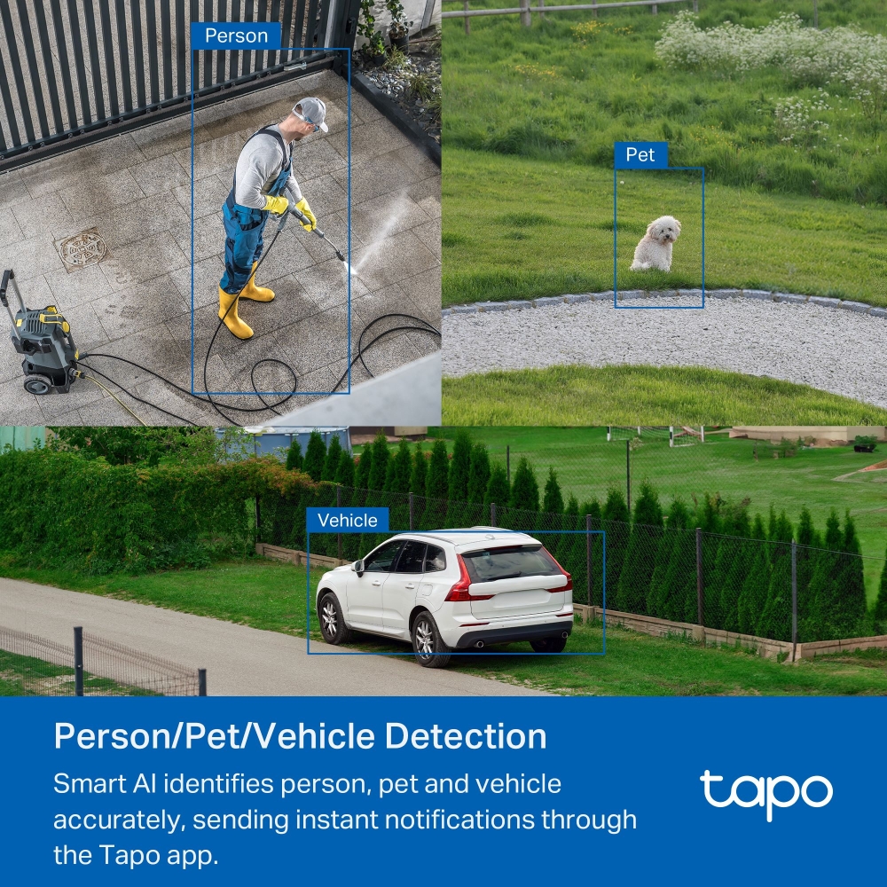 AI Detection Example