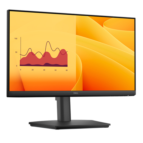 DELL DELL PRO 22 MONITOR - E2225HSM