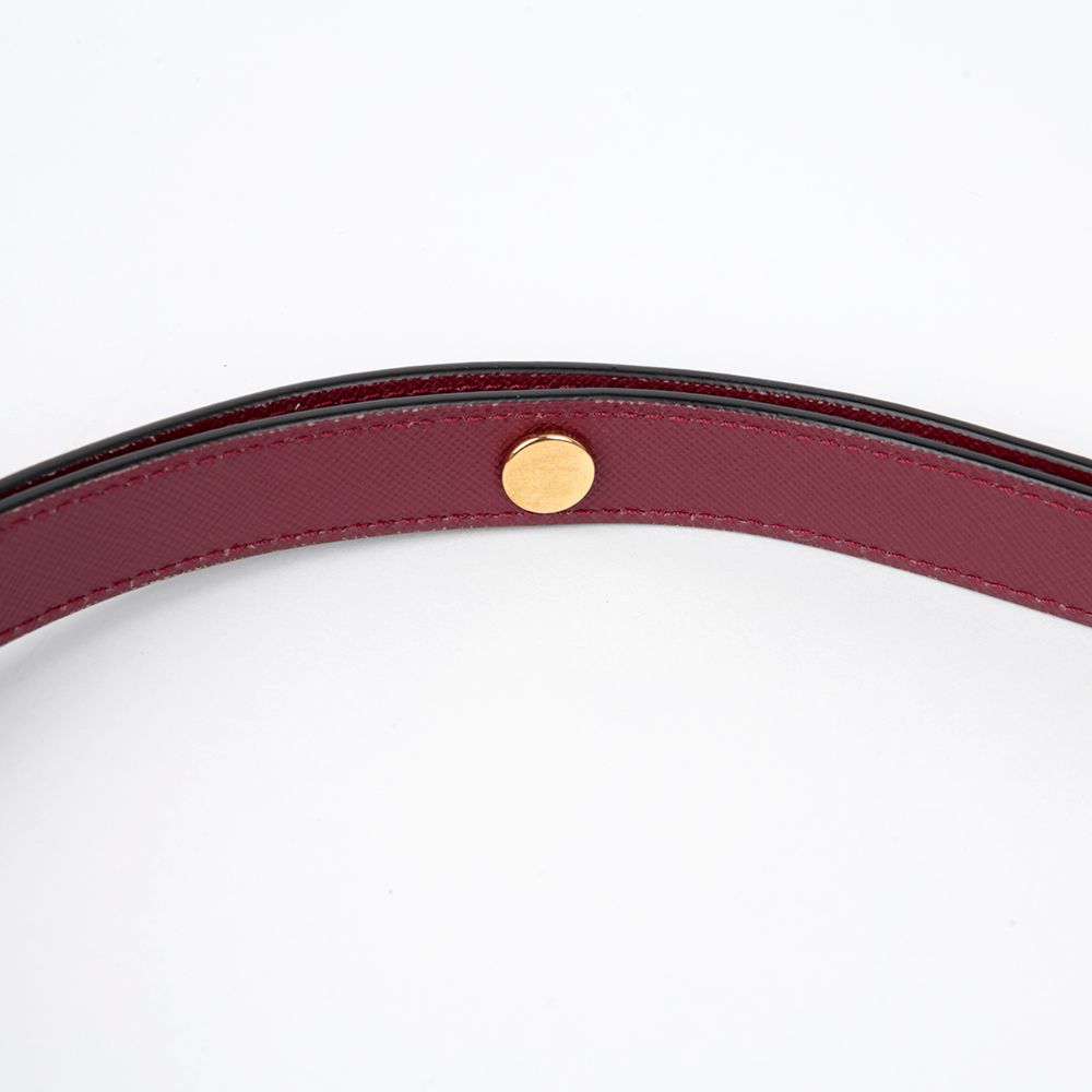 Medium Trunk Shoulder Crossbody Bag