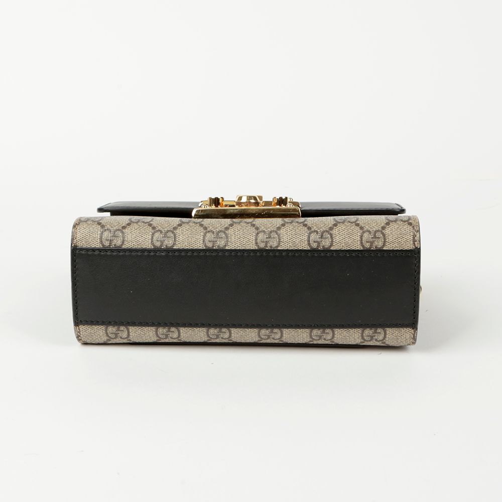 Paddlelock Small Shoulder Crossbody Bag