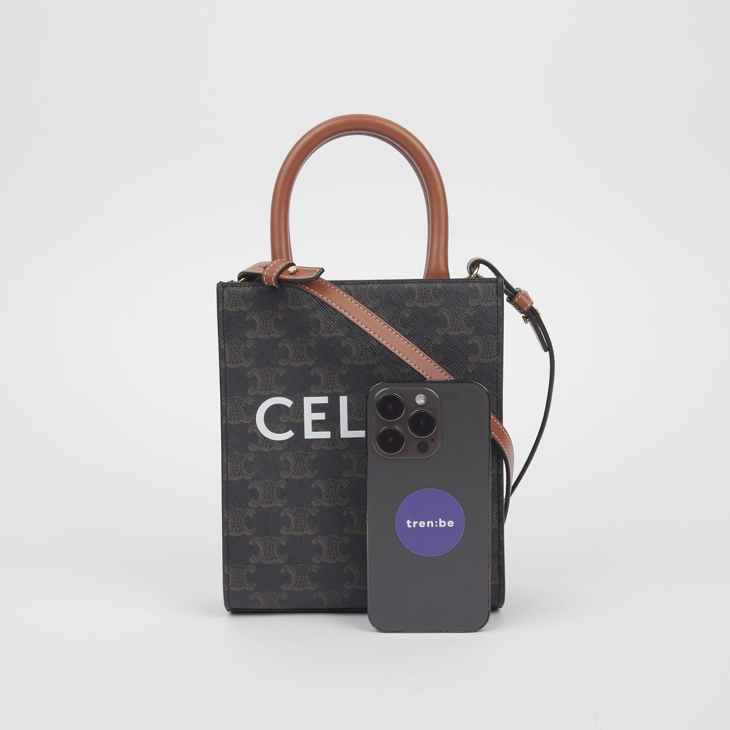 Vertical Cabas Mini Tote Shoulder Bag